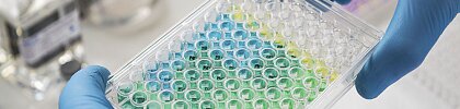 Testy genotoxicity
