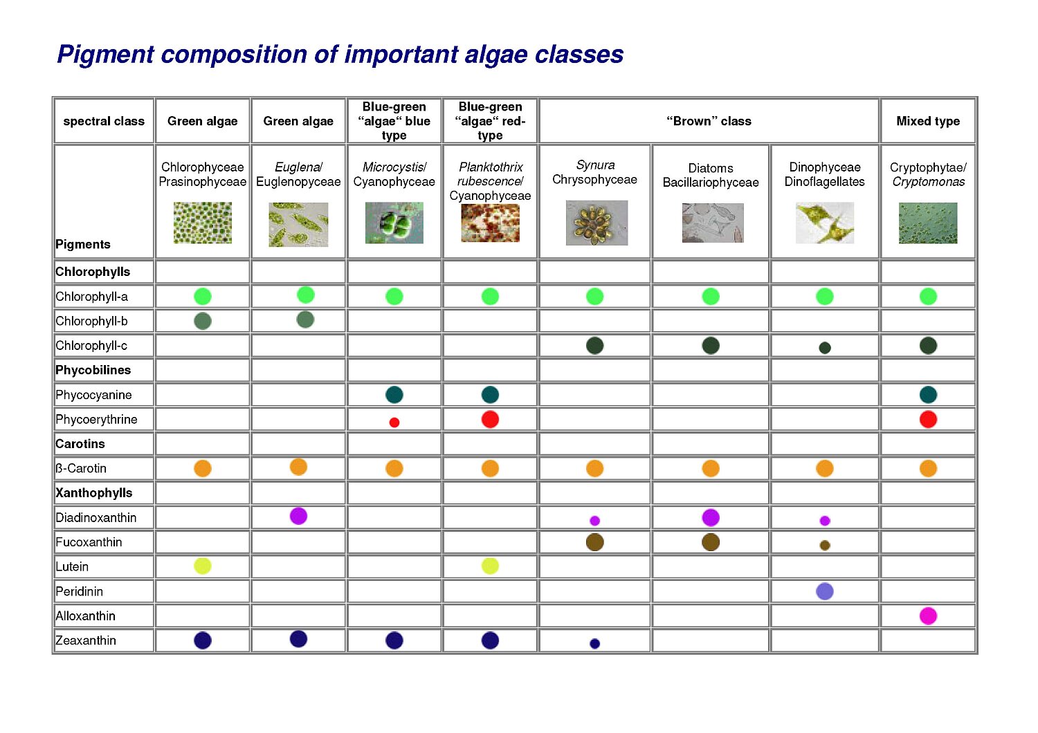 Složení pigmentů významných tříd řas