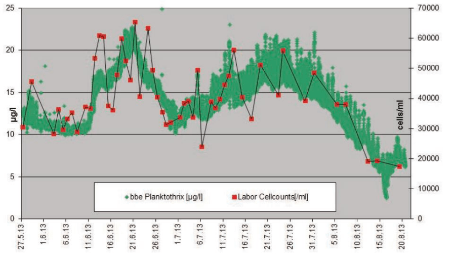 Vlastní fingerprint Planktothrix rubescens: online data vs mikroskopická kvantifikace
